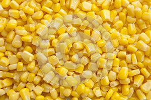 Corn Kernel Close Up