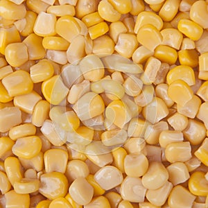 Corn kernels