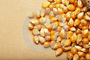 Corn kernels arranged as the background