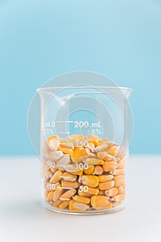 Corn kernels in a beaker on blue