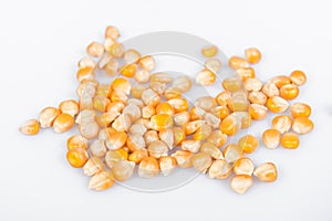 corn kernels : Close-up of organic yellow corn seed, Dried corn kernels on white background, top view