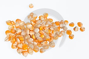 corn kernels : Close-up of organic yellow corn seed, Dried corn kernels on white background, top view