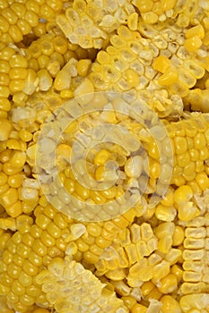 Corn Kernels Close-up Texture