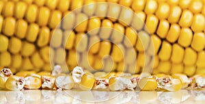 Corn Kernels, Corn Cob Background photo