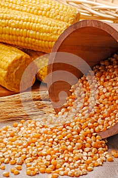 Corn kernels and corncobs background.