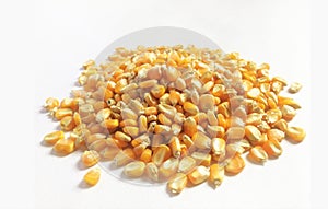 Corn kernels photo