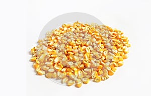 Corn kernels photo