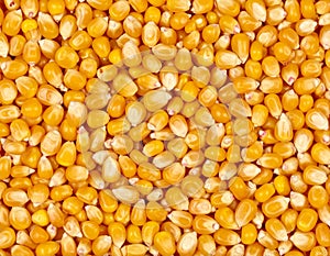 Corn kernels texture background. Generated using AI.
