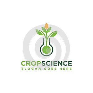 Corn and laboratory beaker logo icon vector illustration