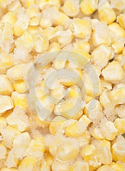 Corn macro background