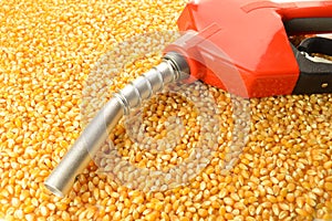 Corn Made Biofuel