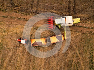 Corn maize harvest, aerial view of tractor and combine harvester