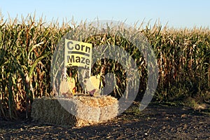 Corn Maze Entrance