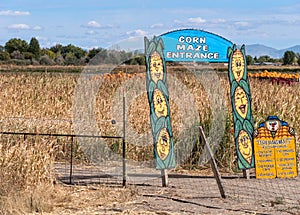 Corn maze entrance