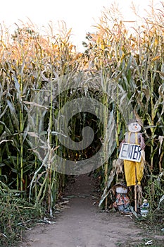 Corn Maze Entrance at Detering Farm Eugene Oregon photo