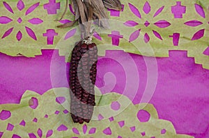 Corn in a mexican day of the dead offering altar