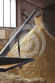 Corn Mill and auger