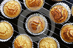 Corn muffins. Fresh from the oven. View from the top