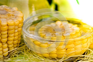 Corn oil garden bed healthy food diet raw pod green slender grain