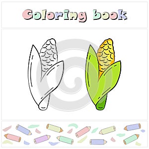 Corn. A page of a coloring book with a colorful vegetables and a sketch for coloring.