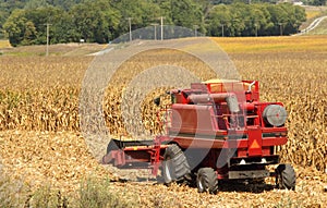 Corn Picking