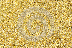 Corn plants,Corn mill, Corn and Grain Handling or Harvesting Termina