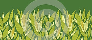 Corn plants horizontal seamless pattern background