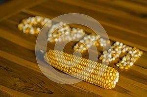 corn pod and corn kernels arranged alphabet