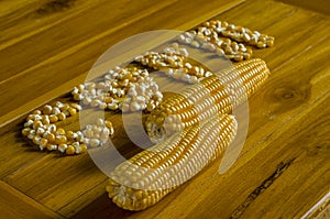 corn pods and corn kernels arranged alphabet