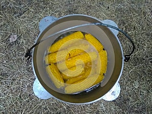Corn in a pot on a fire