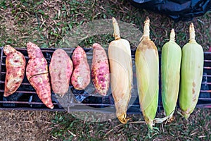 Corn and Potato grilling in a camping picnic
