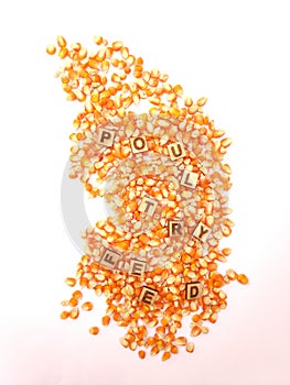 Corn for poultry feed energy requirment