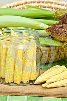 Corn for preserving. photo