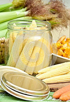 Corn for preserving. photo