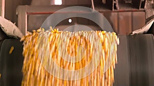 Corn processing factory, food industry