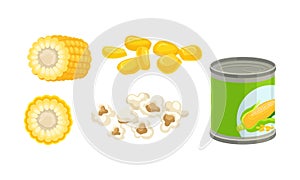 Corn Product Vector Illustrated Set Isolated On White Background