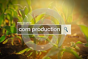 Corn production in internet browser search box