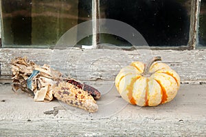 Corn and pumpkin on window sill