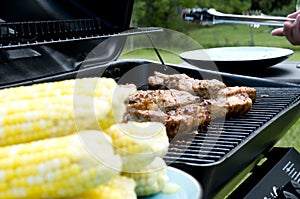 Corn and Ribs