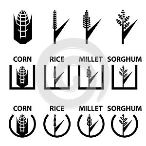 Corn rice millet sorghum cereal symbols