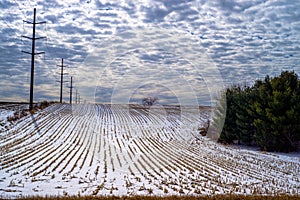 Corn rows, power lines, winter