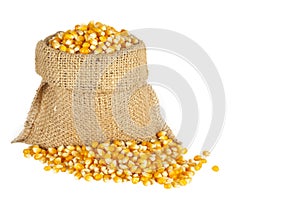 Corn in the sack