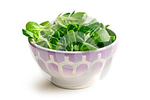 Corn salad, lamb's lettuce in ceramic bowl