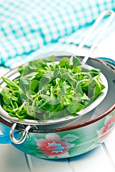 Corn salad, lamb's lettuce in colander