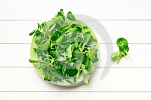 Corn salad, lamb's lettuce