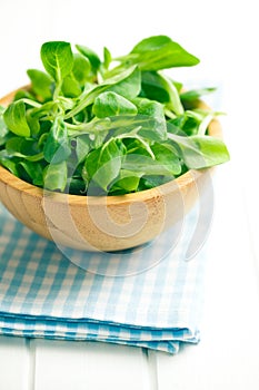 Corn salad, lamb's lettuce