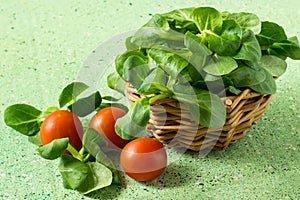 Corn salad (salad Rapunzel, lamb's lettuce) and tomatoes