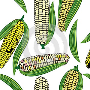 Corn seamless food vector background cob plant.