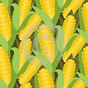 Corn seamless pattern vector illustration. Maize ear or cob.