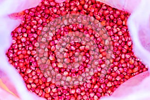 Corn seed chemically treated